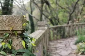 普陀山日记图片