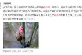 小心，这种外来入侵物种出现！寄生虫多达6000条图片