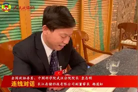 咋助推湖北高新技术企业复工复产？这位企业家提了建议和希望图片
