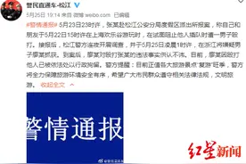 女游客在上海欢乐谷阻止插队反被打 警方通报：已抓获并行拘打人男子图片