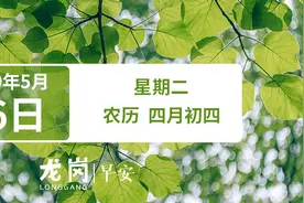 龙岗高中园计划开工日期定了，建成后将新增3所公办高中、8100个学位｜早安，龙岗图片