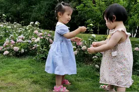 快来打卡成都这片绣球花海图片