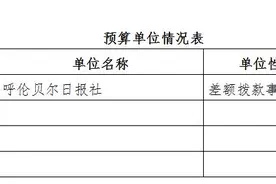 呼伦贝尔市日报社单位2020年部门预算公开报告图片