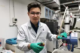香港青年携手南科大教授，研发治疗新冠肺炎患者的新型中药图片