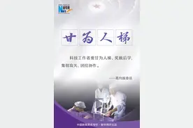 新华网评：甘为人梯图片