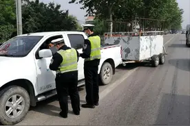 潍坊昌邑：皮卡车后为啥再加拖斗？车主：拉匹马出去遛遛图片
