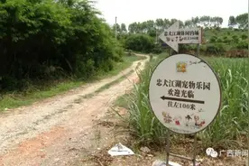 宠物被“骚扰”，南宁一男子劝阻时被咬，对方狗主人失联图片