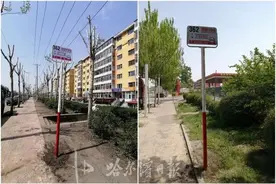 一个增设站点、一个调整走向 | 坐这两趟公交的注意啦 ↘图片
