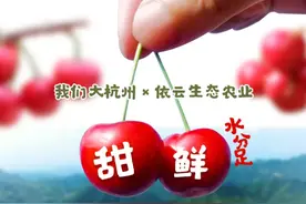 大杭州本塘车厘子，想摘送你采摘券，想吃快递送上门图片