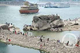 看过来！网红“神龟”附近江边还趴着一只巨型“石蛤蟆”图片