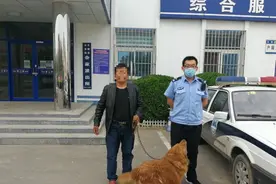 男子路边盗窃金毛犬 滨州无棣警方2小时将其抓获归案图片