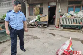 野狗咬死家禽，民警及时处置图片