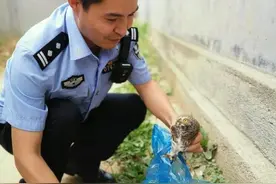 警民爱心接力救助两只国家重点保护动物图片