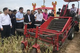 平度仁兆镇东寨子村：大蒜种收实现全程机械化 生产效率提高20倍图片