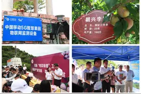 赋能智慧农业，茂名移动多个5G标杆应用落地图片
