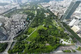 深南皇岗立交太占地代表建议拆，部门回应：将改造并激活桥下空间图片