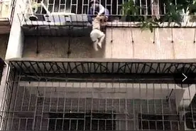 三岁男童身悬防盗网 快递小哥爬墙救人图片