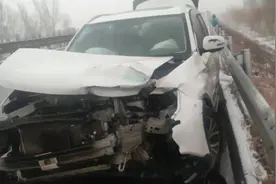 5个月7万起！河北处罚未按规定使用安全带违法行为图片