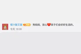 狗妈妈带3宝托付消防队，随后独自离去…图片