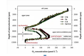 南京土壤所在施硒降低水稻对镉的吸收机理上取得进展图片