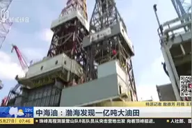 中海油：渤海发现一亿吨大油田视频封面