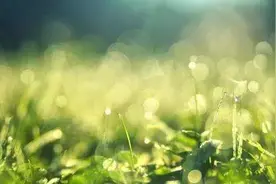洗手的正确方式，你真的Get到了吗——健康小贴士图片