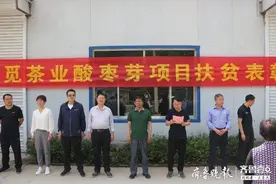 幸福芽致富路！淄川野生酸枣芽成了贫困户增收的黄金芽图片