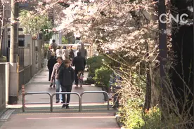 日本京都樱花季游客锐减视频封面