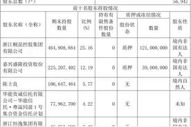 恒逸集团入股桐昆股份 民营石化巨头整合预期升温图片