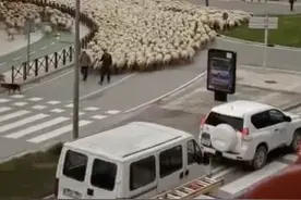 3万只羊浩浩荡荡走上街头，蒙古国送中国的羊已经来了？真相来了图片