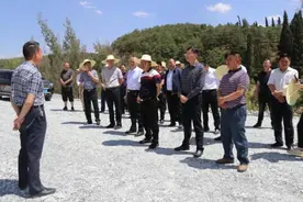 活力马龙：发展后劲更加有力图片