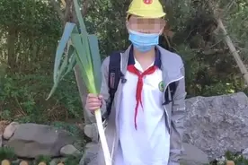 小学生开学第一天带大葱火了！山东人崩溃：我们不...算了不解释了图片