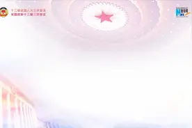 刘奇凡代表：精准监督推进治理基层微腐败视频封面