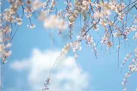 “三月三”，一个富有浪漫情调的节日图片