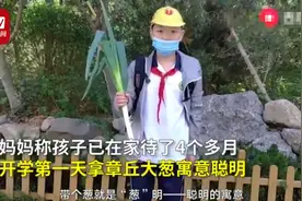 山东小学生复课带大葱，网友：葱明伶俐图片