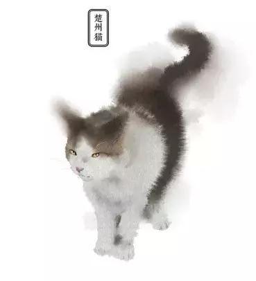 和这个17岁清代少女比起来，我们的撸猫方式都弱爆了