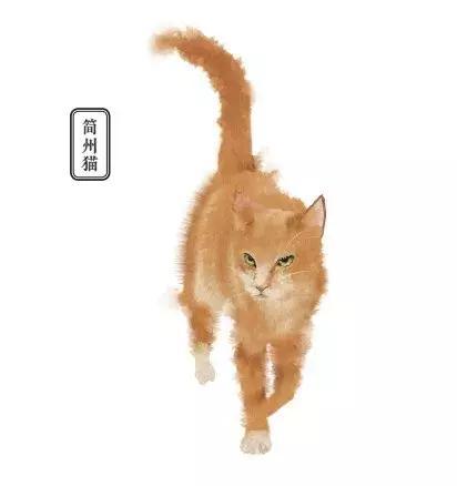和这个17岁清代少女比起来，我们的撸猫方式都弱爆了