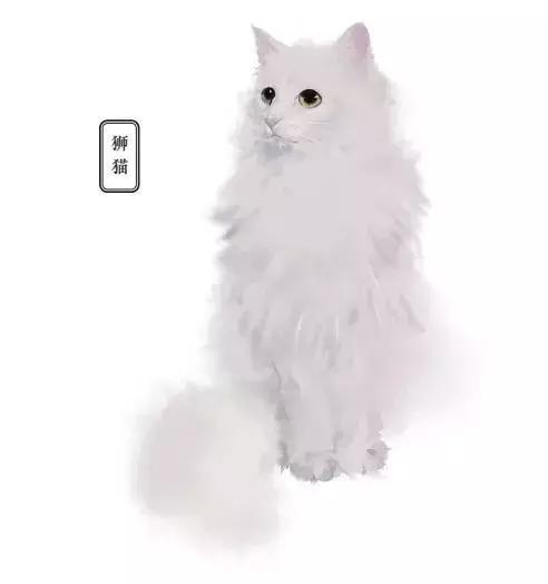 和这个17岁清代少女比起来，我们的撸猫方式都弱爆了