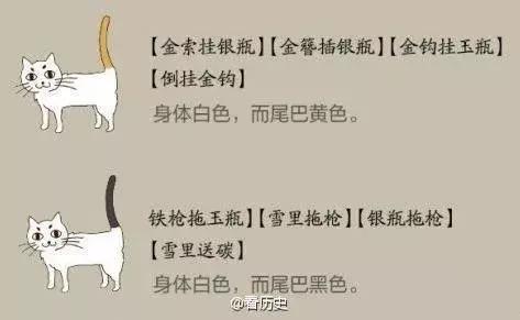 和这个17岁清代少女比起来，我们的撸猫方式都弱爆了