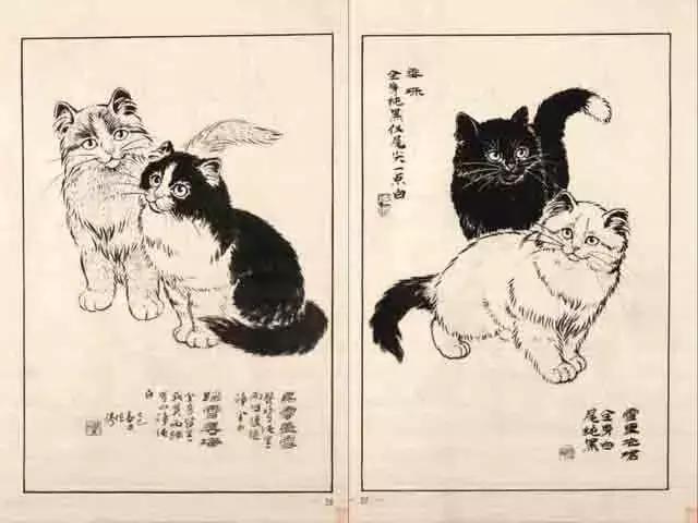 和这个17岁清代少女比起来，我们的撸猫方式都弱爆了