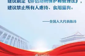 全国人大代表：建议制定法律禁虐禁食猫狗图片