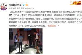 西安鄠邑区一村民回家在其院中发现一豪猪 报警后 已移交森林公安进一步处置图片