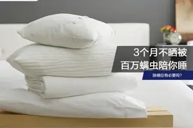 仨月不晒被百万螨虫陪你睡，除螨仪有必要吗？图片