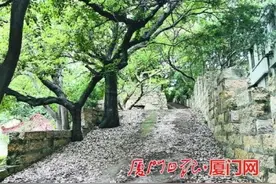 三件画作跨越百年，绘下厦门古城风貌图片