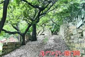 三件画作跨越百年，绘下厦门古城风貌图片