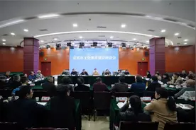 长宁动漫专家获聘“宜宾文化顾问”图片