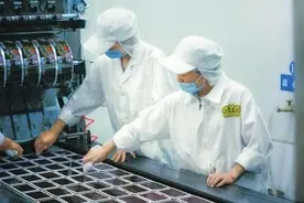 关注中小微｜23次“返工”川味鸭血艰难“出海”图片
