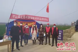 铿锵玫瑰别样红——记南阳市桐柏县平氏镇北西村党支部书记党中娜图片