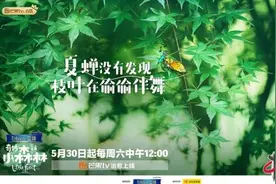 《奇妙小森林》定档530 回归自然开启森林新玩法图片