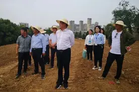 卧龙区委书记高贤信现场踏看卧龙岗文化园建设工作图片
